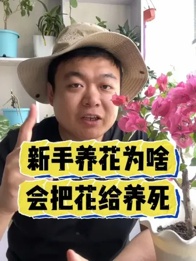 新手养花，为啥会把花养出问题。 #养花 #花卉 #养花小知识 #花卉绿植 #盆栽