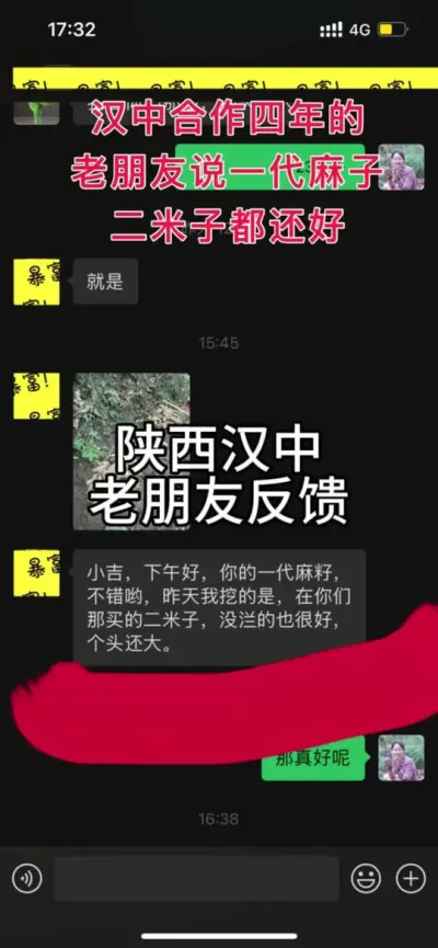 пͻ һӶЧ#ũݪֲ ##ݪֲ@С