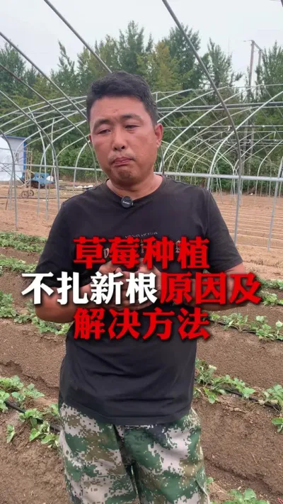 ݮ¸Եԭ#ݮݪֲ #ݮݪֲ #ũҵ֪ʶũ #ݮ #ũ