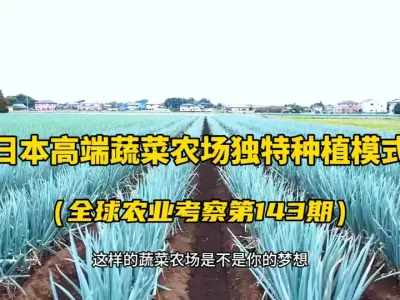 �ձ��߶��߲˻���ũ���������ݪֲģʽ��ֱ������������������ �ձ������ǽ��߶��߲�ũ����300Ķ��25С��˽�ҽ���΢������ݪֲ��������ȫ�׸��ʡ��߲����߲�ݪֲģʽ��ֱ�������ĸ߶�����....#�ձ�ũҵ #��