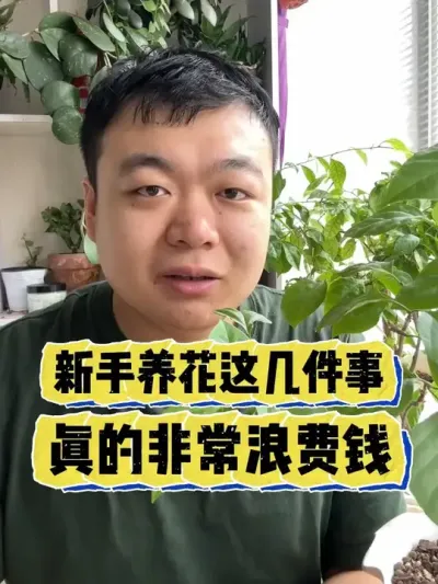 ���������⼸������������ĺ����˻�Ǯ�� #���� #����С֪ʶ #���� #������ֲ #����