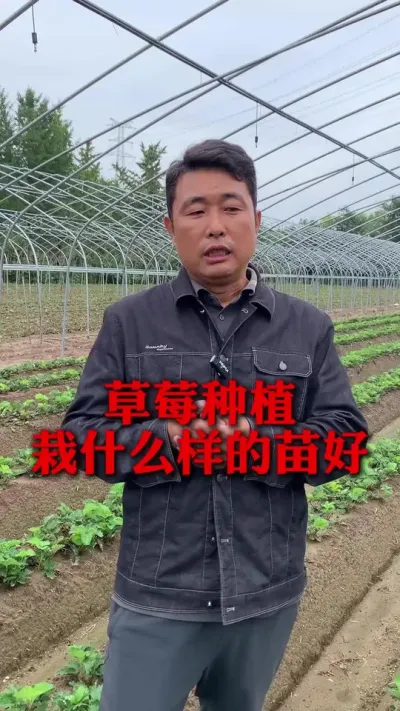 ݮʲô#ݮݪֲ #ݮ #ݮݪֲ #ũҵ֪ʶũ #ũ