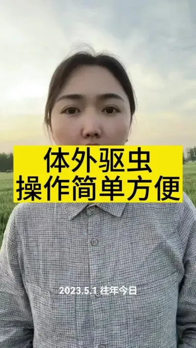 牛羊体外喷洒驱虫#养牛 #养牛人 #养牛技术 #农村养牛 #三农