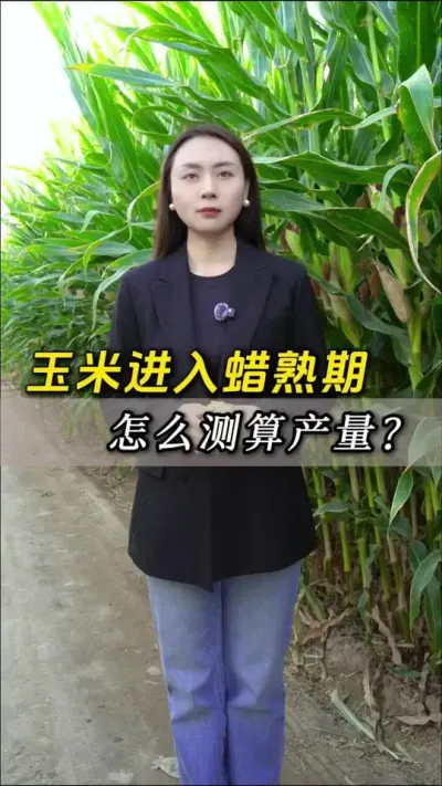 ���׽������������������������#��ũ #����ݪֲ #����ݪֲ���� #�������� #������ũ��