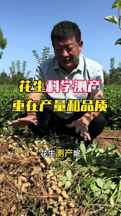 ����������ڲ�����Ʒ��#����ݪֲ #����ݪֲ�������� #�����߲� #�����߲�ݪֲ #ë��������߲�����