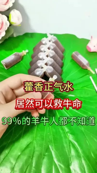 霍香正气水居然可以救牛命，99%的人不知道#养牛 #养牛人 #牛羊养殖 #农村养牛 #三农