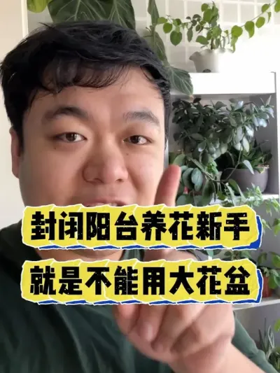 �ر���̨������������ı����ô����������� #���� #����С֪ʶ #���� #������ֲ #����