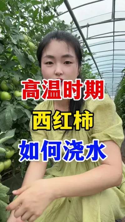 ����ʱ��������������ˮ #������ݪֲ #������ݪֲ����