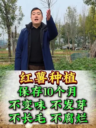 ���������м��� #�������� #������������ #����ݪֲ #���� #��������Ҫ��