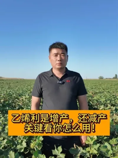 ��ϩ����������ô���� #��ũ������2025#ݪֲС���� #��ũݪֲ #������ũ֧����ũ #�½��޻�