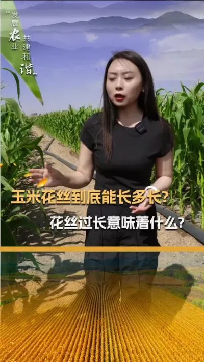 ���׻�˿�����ܳ��೤����˿������ζ��ʲô��#��ũ #����ݪֲ #����ݪֲ���� #�������� #������ũ��