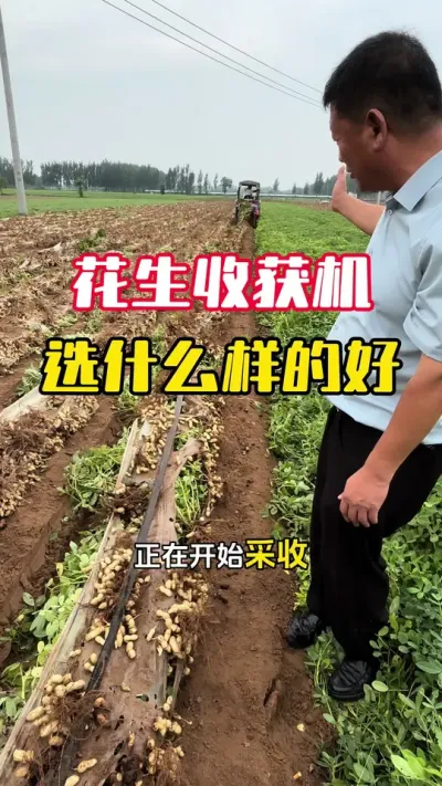 �����ջ��������ôѡ����#����ݪֲ #����ݪֲ�������� #�����߲� #�����ջ�� #ë��������߲�����