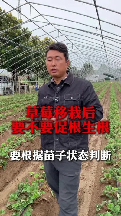 ݮҪҪٸ#ݮݪֲ #ݮݪֲ #ũҵ֪ʶũ #ũ #ũ