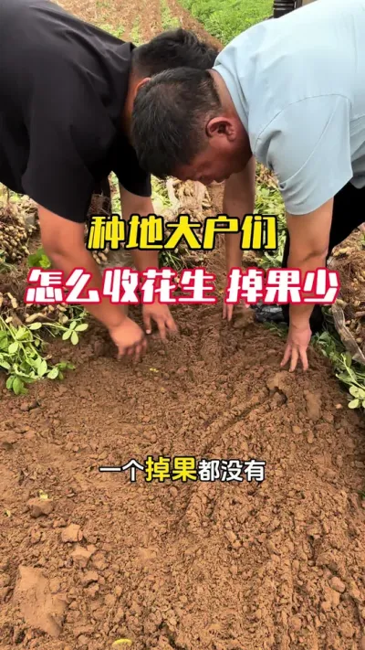 �ֵش��ǻ�����ô�ջ��������ٲ�����#����ݪֲ #����ݪֲ�������� #�����߲� #�������� #ë��������߲�����