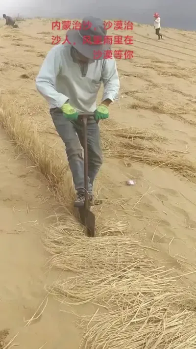 ɳĮ��ɳ����ɳĮ��ɳ�ȹ�ɳ��������ɳĮ������#�ݷ�����ɳ