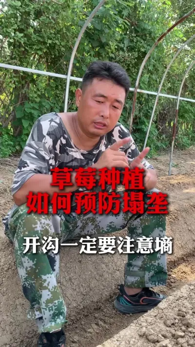 ��ݮ����Ԥ����¢#��ݮݪֲ #��ݮ���� #��ݮݪֲ���� #����ũҵ֪ʶ��ũ���������� #��ũ������