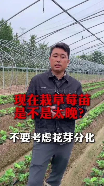 ݮǲ̫#ݮݪֲ #ݮ #ݮݪֲ #ũҵ֪ʶũ #ũ