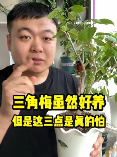 ����������÷��ĺ���������������������� #���� #����С֪ʶ #���� #������ֲ #����