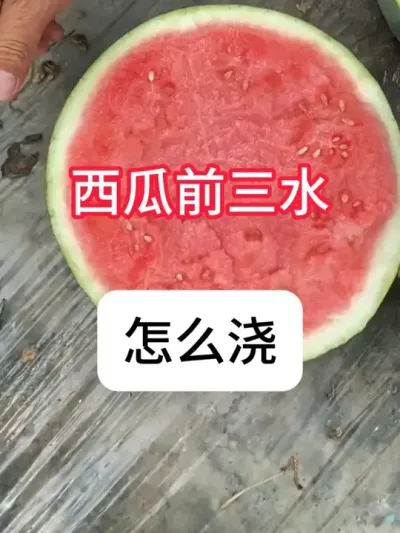 ���Ͻ���ˮʲôʱ�����������ǰ��ˮ���ʱ�� #����ݪֲ #�������� #ũ���ƹ� #ݪֲС���� #������ũ