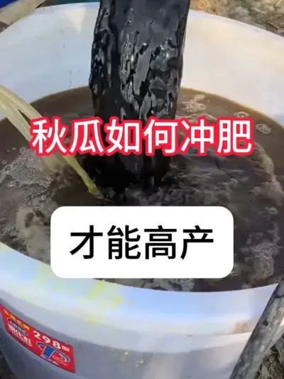 ���ʩ�����ʱ�����������Ҫ�� #����ݪֲ #��ũ #�������� #ũҵݪֲ #������ũ