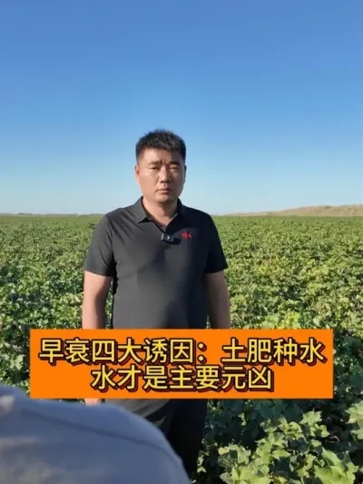 ��˥�Ĵ����� #��ũ������2025#ݪֲС���� #ũҵݪֲ #������ũ֧����ũ #�½��޻�