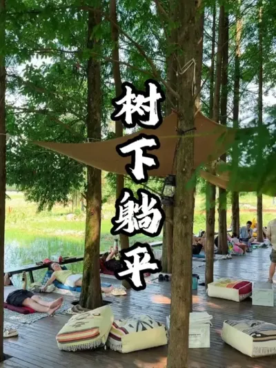 ������ƽ#��������  #�������  #�ܶ����� #Ӫ������