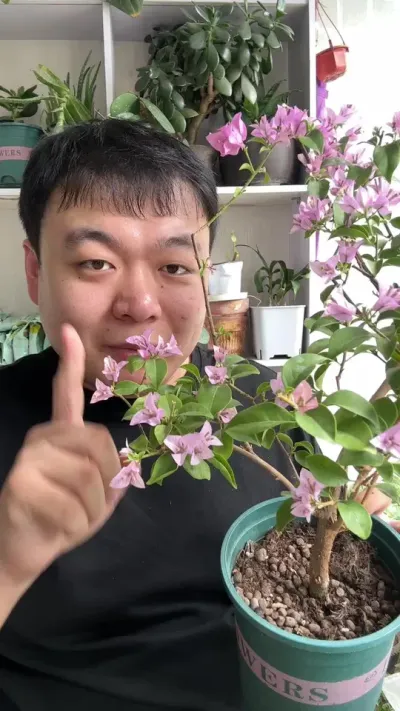 �����л�����ʮ����һ������ #���� #����С֪ʶ #���� #������ֲ #����