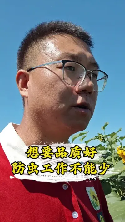 ��ѧ��������������#�����