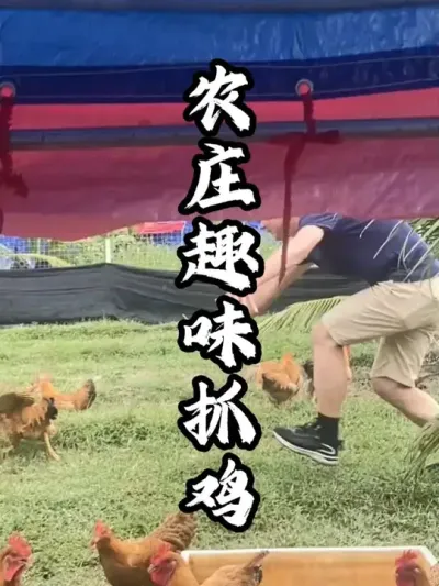 �������ץ��#��������  #�������  #�ܶ�����  #ũׯ����