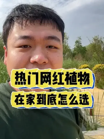 ��������ֲ������������Ӧ����ôѡ�� #���� #����С֪ʶ #���� #������ֲ #����