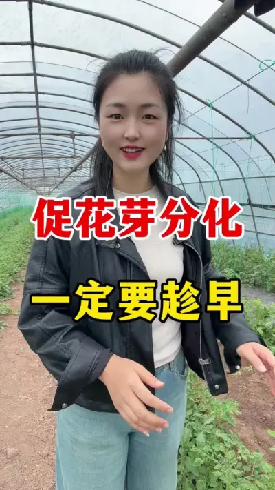 ٻѿһҪ #ݪֲ #ũҵݪֲ