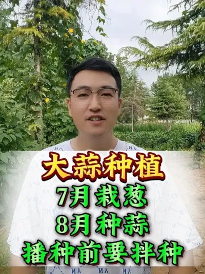 ���ⲥ��ҪҪ��Ҫ���� #����ݪֲ #����ݪֲ���� #����߲� #���� #ũҵݪֲ