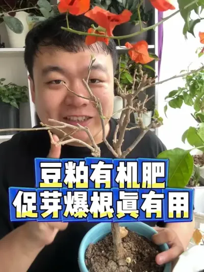 �����л��ʱ�����ѿ��������� #���� #����С֪ʶ #���� #������ֲ #����