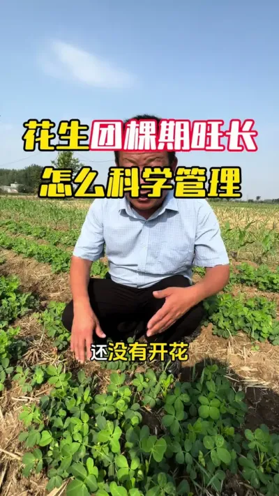 �����ſ�������Ӧ����ô��ѧ������#����ݪֲ #�������� #�����߲� #�����߲�ݪֲ #ë��������߲�����