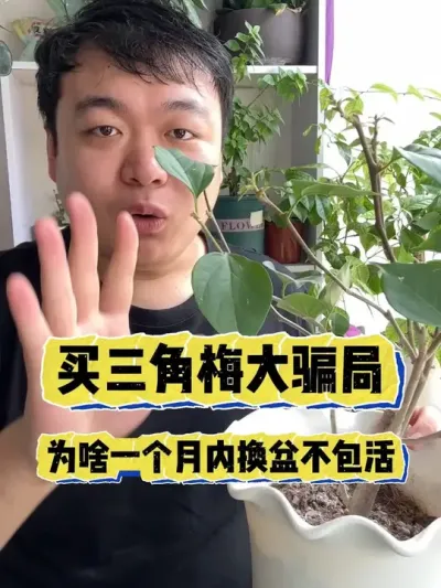 ������÷��Ȧ����Ϊɶ�̼����㵽��һ���²Ż������� #���� #����С֪ʶ #���� #������ֲ #����÷