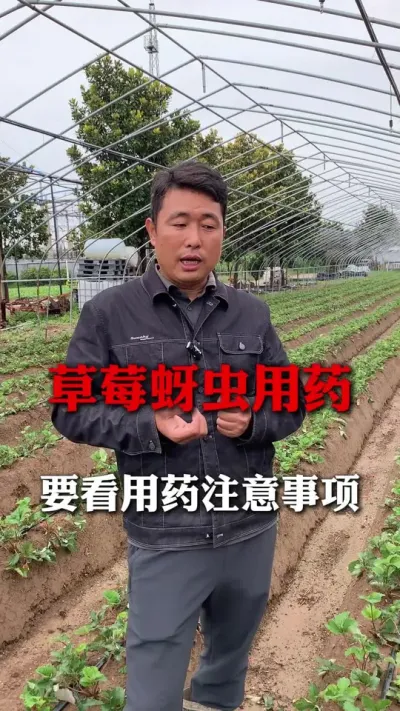 ݮҩ#ݮݪֲ #ݮ #ݮݪֲ #ũҵ֪ʶũ #ũ