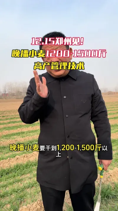 12��15��֣�ݼ�������С��Ķ��1200-1500���ֹ����� #С��߲� #С��߲����� #С��ݪֲ #ë��������߲�����