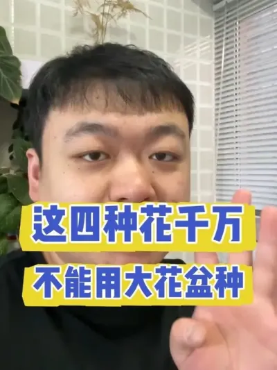 �����ֻ���������ô������� #���� #����С֪ʶ #������ֲ #���� #����