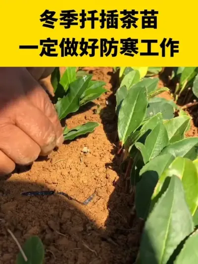 ����Ǥ�����һ��Ҫ���÷�������#����