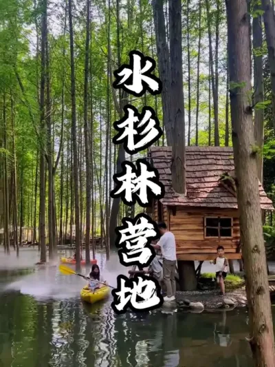 ˮɼ��Ӫ��#��������  #�������  #�ܶ����� #Ӫ������