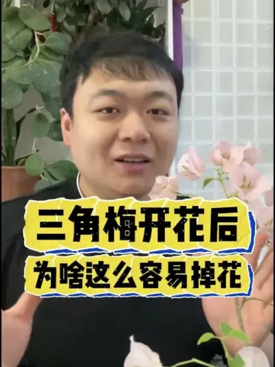 ���Ż�������÷��Ϊɶ��ô���׵����� #����С֪ʶ #���� #���� #������ֲ #����