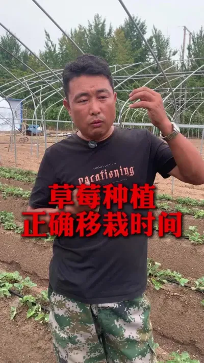 ݮ׼ȷʱ#ݮݪֲ #ݮݪֲ #ũҵ֪ʶũ #ũ #ݮ