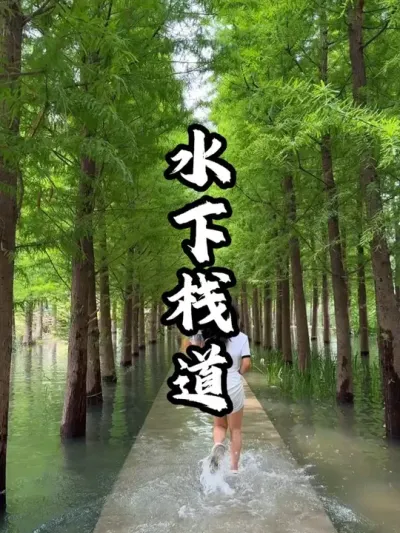 ˮ��ջ��#��������  #�������  #�ܶ�����  #ũׯ����