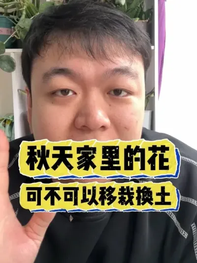 �������Ļ��ɲ��������Ի����� #���� #����С֪ʶ #���� #������ֲ #����