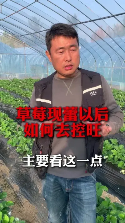 ݮٺ#ݮݪֲ #ݮ #ݮݪֲ #ũҵ֪ʶũ #ũ