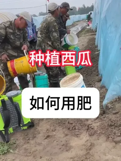 ݪֲ���������÷��� ����ݪֲʩ�ʼƻ�#���溦���� #������ũ֧����ũ #���� #ʩ�� #�������ղ���Ӳԭ��