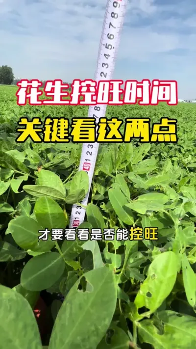 ����ʲôʱ�������Ҫ��Ҫ��������#����ݪֲ #�������� #�����߲� #�����߲�ݪֲ #ë��������߲�����