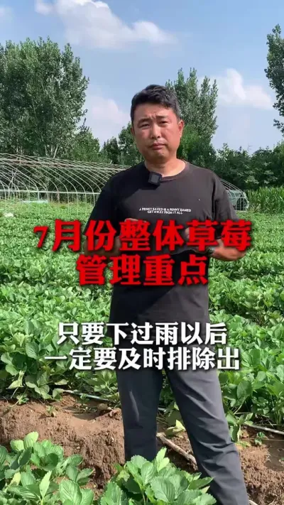 7�������ݮ�����ص�#��ݮݪֲ #��ݮݪֲ���� #��ũ������ #����ũҵ֪ʶ��ũ���������� #��ݮ����