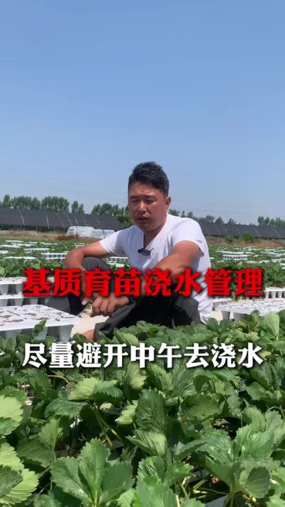 �������罽ˮ����#��ݮݪֲ #��ݮ���� #��ݮݪֲ���� #��ũ������ #����ũҵ֪ʶ��ũ����������