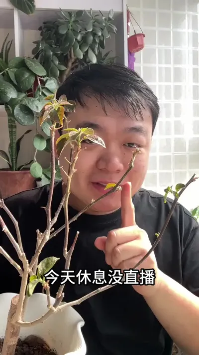 �������÷���ٳ�ѿ������������ĺ��� #������ֲ #����С֪ʶ #���� #���� #����